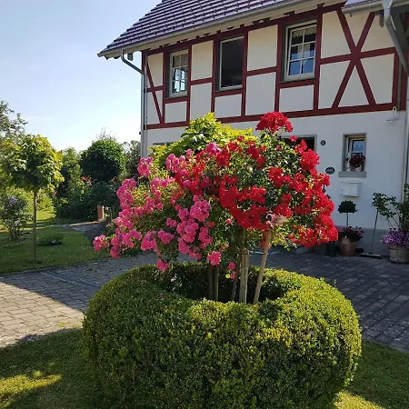Landgut Apfelrose * Friedrichshafen