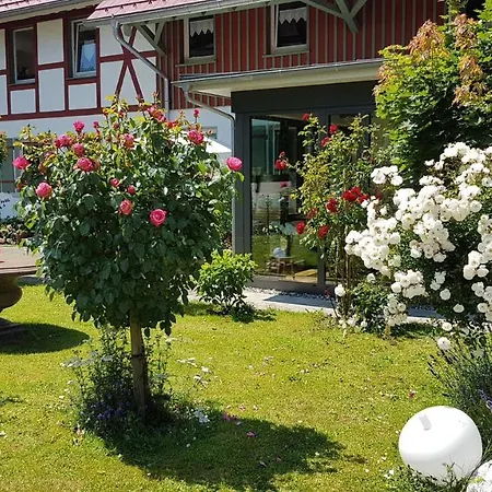 Landgut Apfelrose * Friedrichshafen