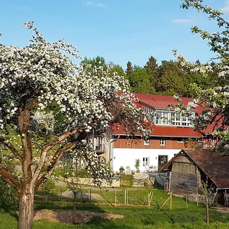 Landgut Apfelrose *