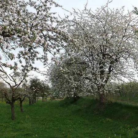 Landgut Apfelrose Vendégház *