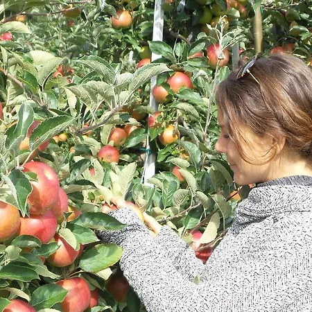 Landgut Apfelrose ゲストハウス