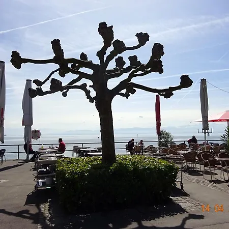 Landgut Apfelrose ゲストハウス 4*