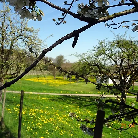 ゲストハウス Landgut Apfelrose フリードリヒスハーフェン