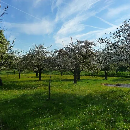 Landgut Apfelrose ゲストハウス