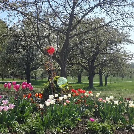 Landgut Apfelrose ゲストハウス フリードリヒスハーフェン