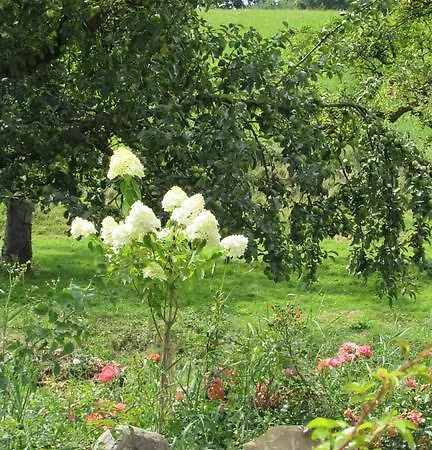 Landgut Apfelrose ゲストハウス フリードリヒスハーフェン