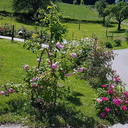 Landgut Apfelrose フリードリヒスハーフェン