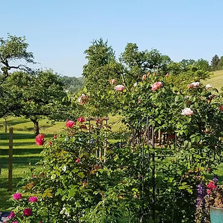 ゲストハウス Landgut Apfelrose フリードリヒスハーフェン