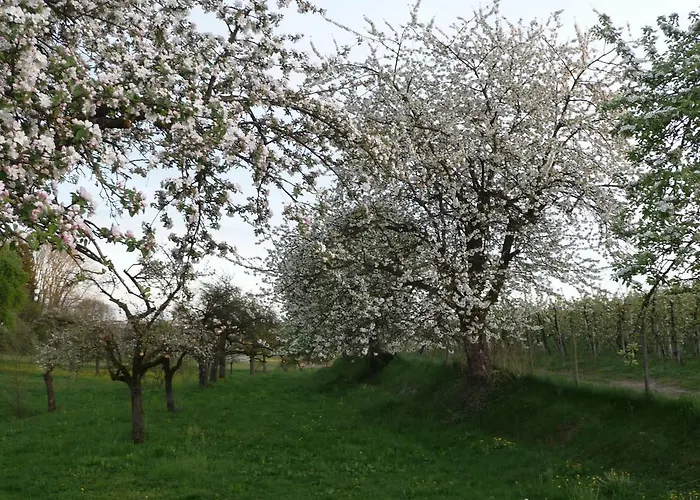 Landgut Apfelrose Pensión 4*