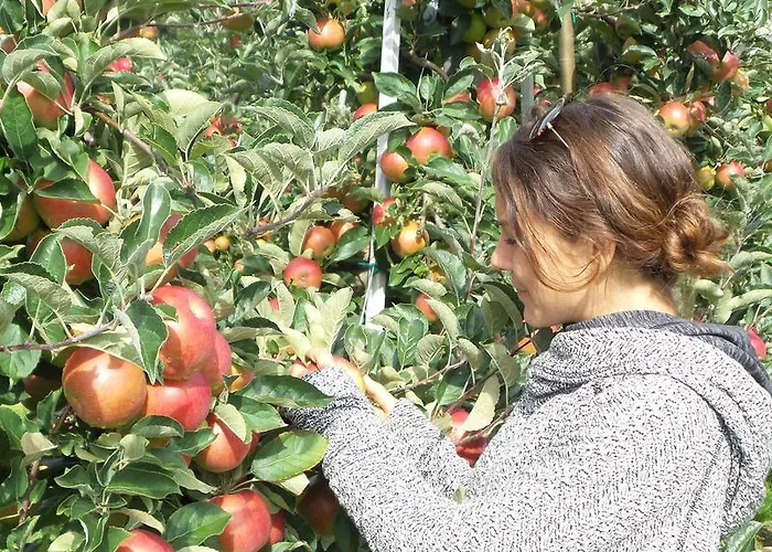 Landgut Apfelrose Guest house