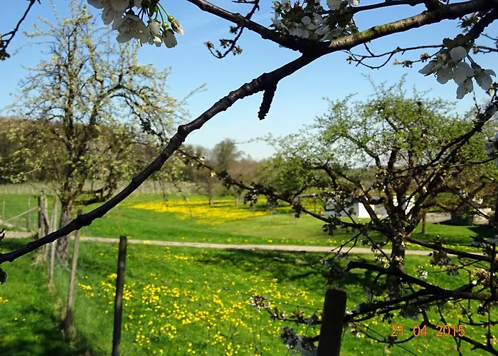 Pensión Landgut Apfelrose Friedrichshafen