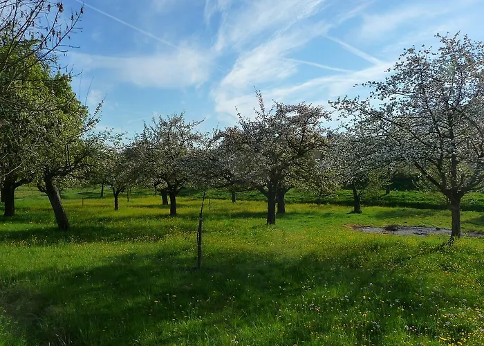 Landgut Apfelrose Guest house