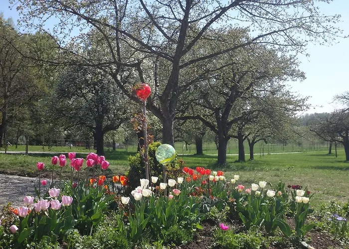 Landgut Apfelrose Guest house Friedrichshafen