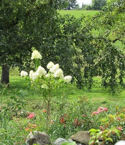 Landgut Apfelrose Guest house Friedrichshafen